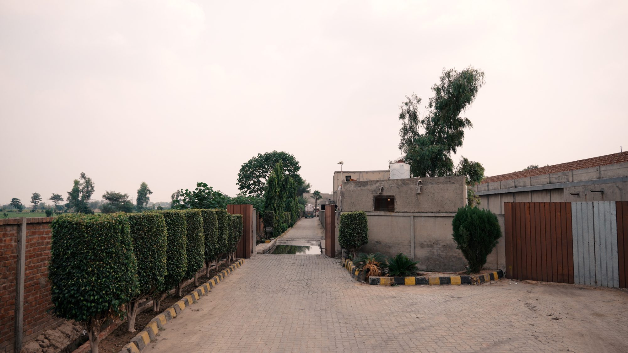 The entrance driveway leading into the Al Barakah Foods farm