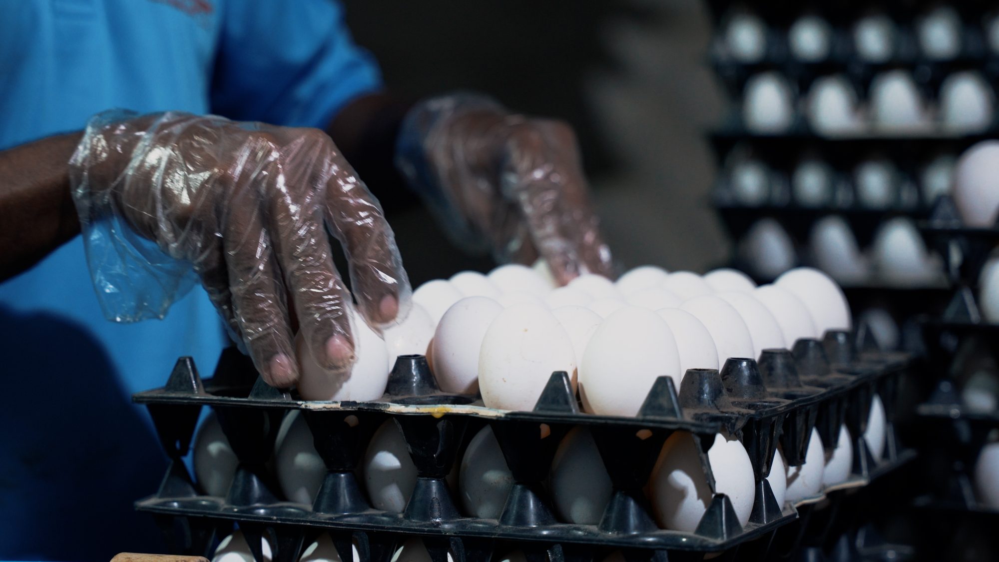 Hygienic Handling