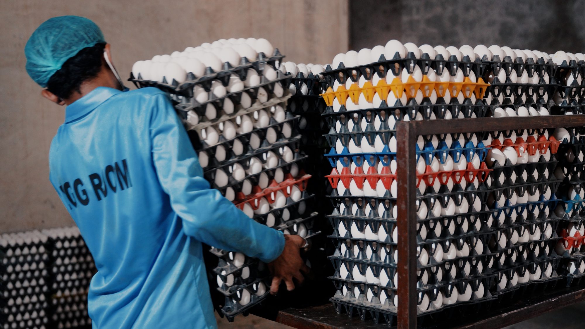 Cold Chain