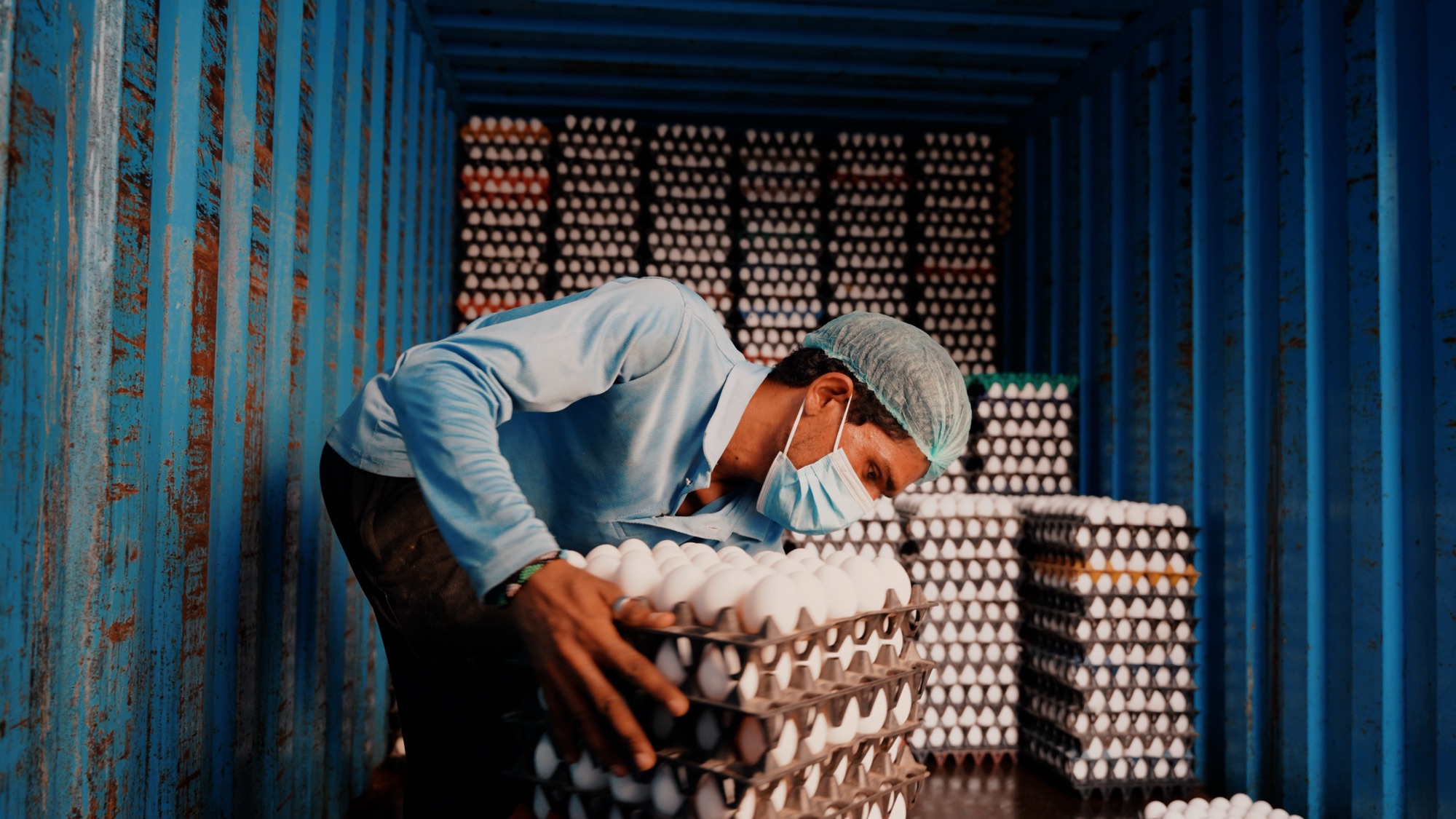 A staff member loading egg trays into a delivery truck