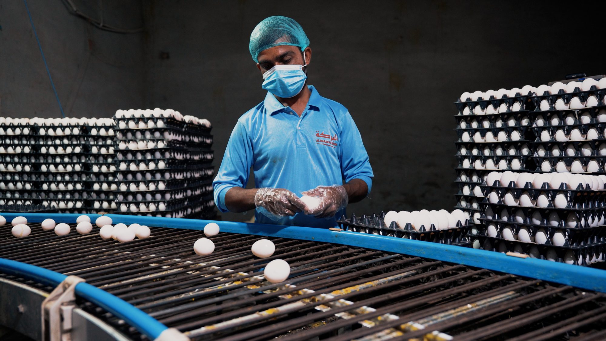 Close-up of a staff member sorting eggs by hand