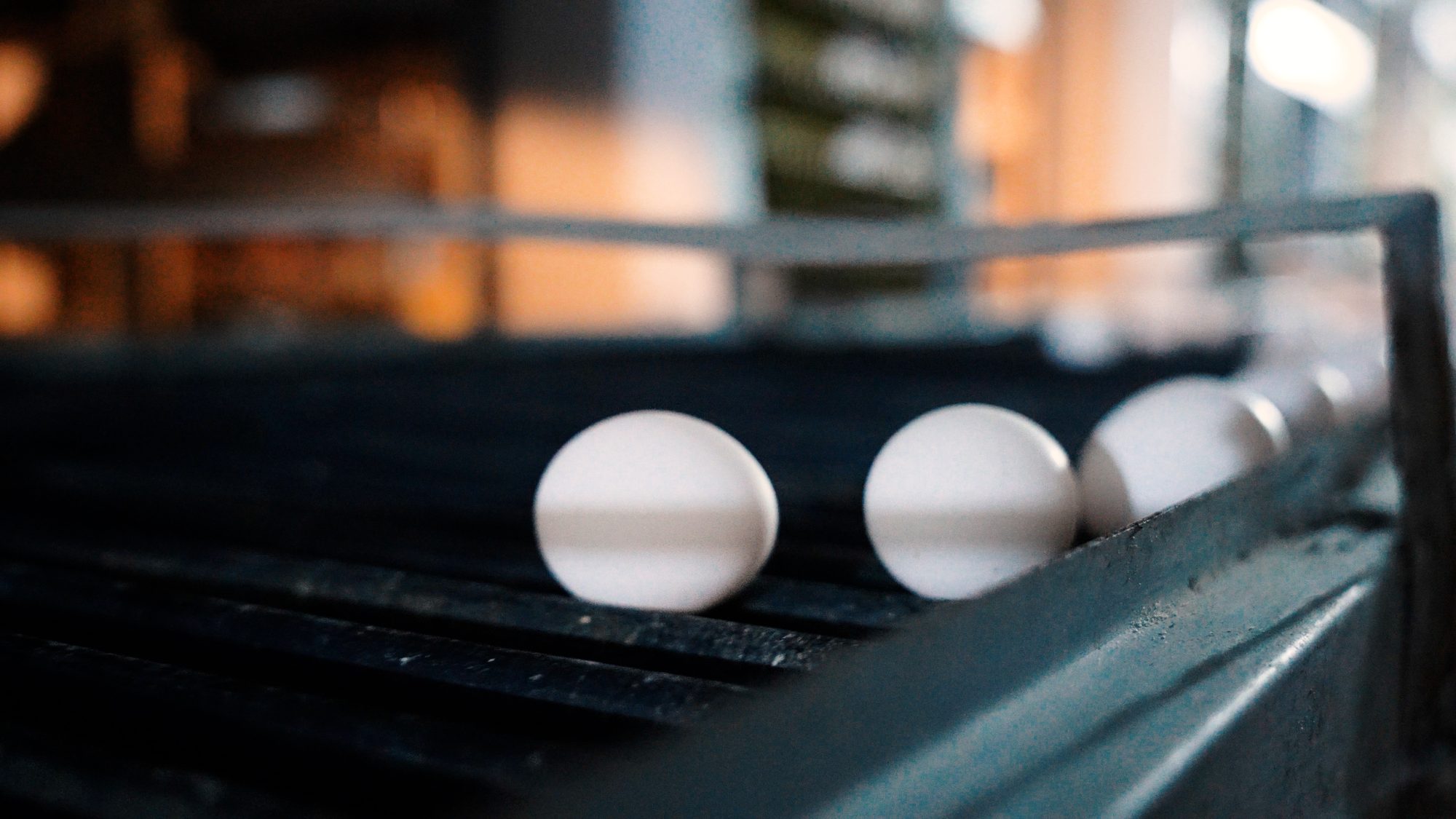 Close-up of eggs moving along the grading conveyor
