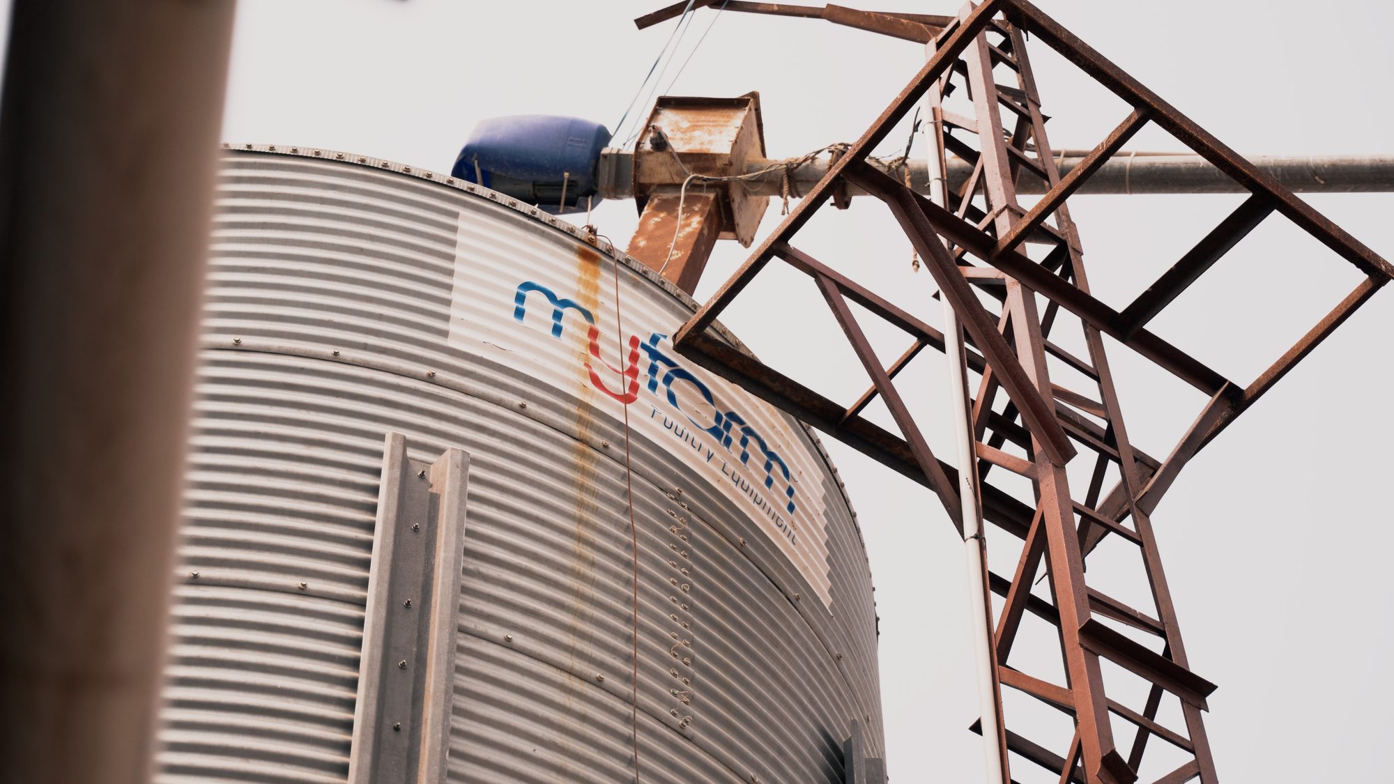 Automated feed storage silo